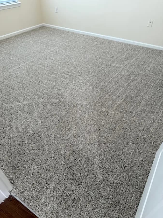 Carpet Cleaning